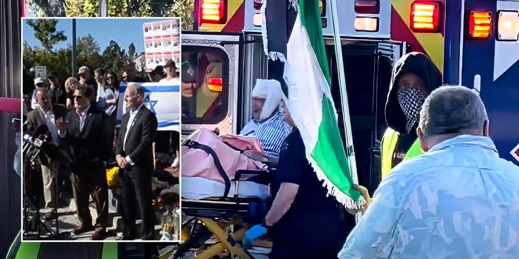 Pro-Palestinian protester 'tried to bait' elderly Jewish man before fatal altercation, witness says - Vimarsana News