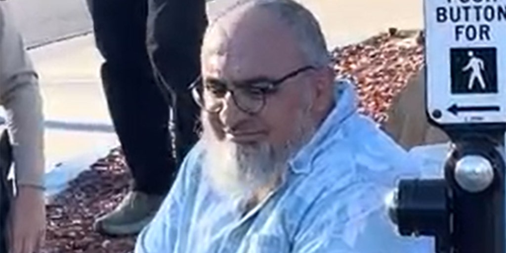 Pro-Palestinian protester arrested in death of Jewish man Paul Kessler - Vimarsana News
