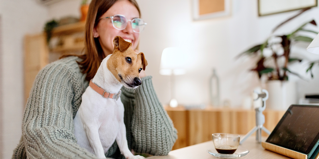 Amazon Cyber Week: 10 pet deals you won't want to miss - Vimarsana News