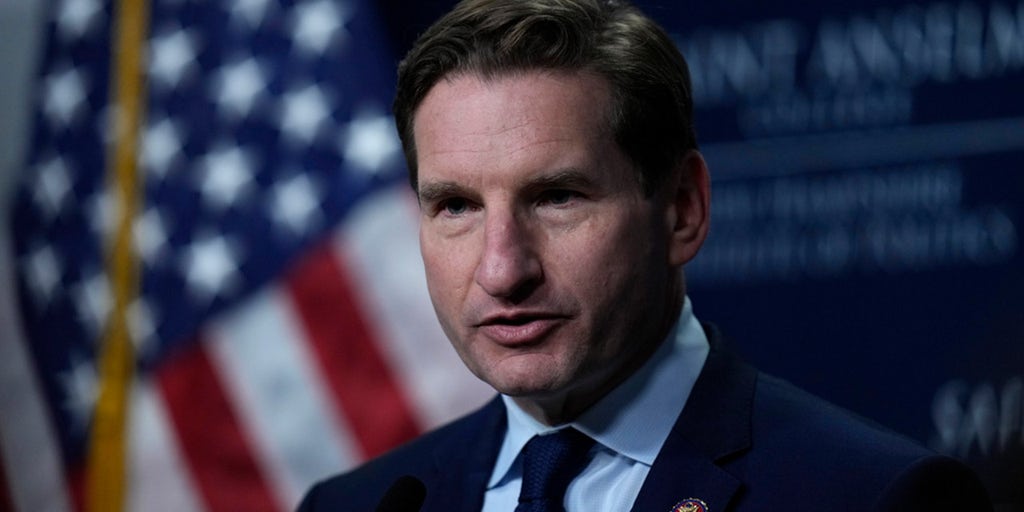 Florida Democrats exclude long-shot Biden challenger Dean Phillips from ballot - Vimarsana News