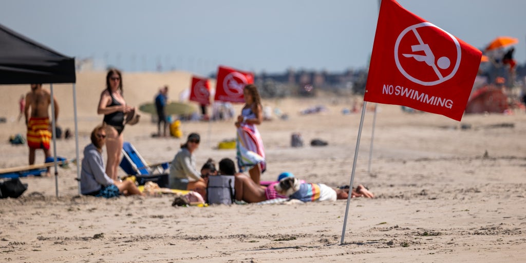 AI technology could soon save lives at the beach. Here's how. - Vimarsana News