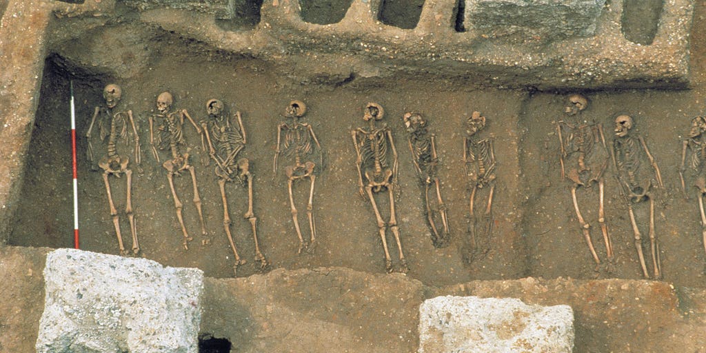 Black women most likely to die during mediaeval plague: study - Vimarsana News