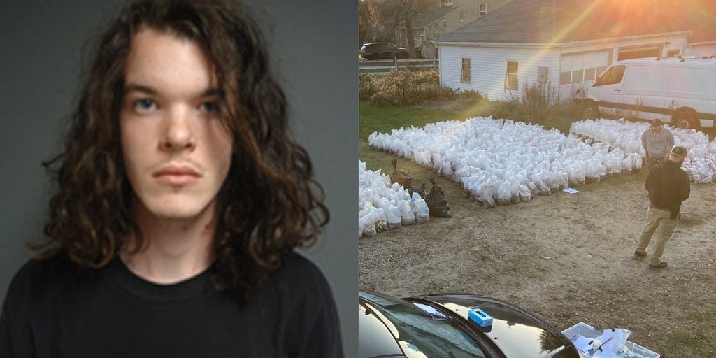 Magic mushroom dealer's secret $8.5M factory raided in suburban home: police - Vimarsana News