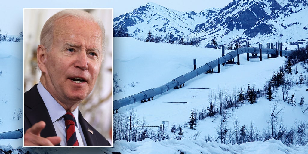Obama-appointed judge upholds major oil project in blow to environmentalists - Vimarsana News