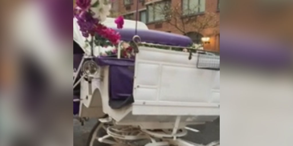 Horse breaks loose from carriage, wreaks havoc in Manhattan: 'running wild' - Vimarsana News