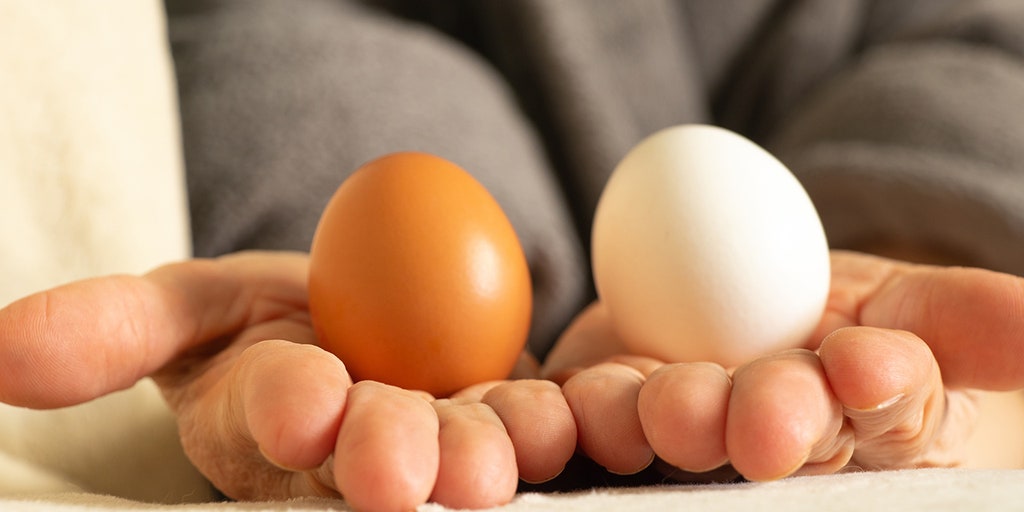 Get cracking: These are the best eggs for your health, according to nutritionists - Vimarsana News