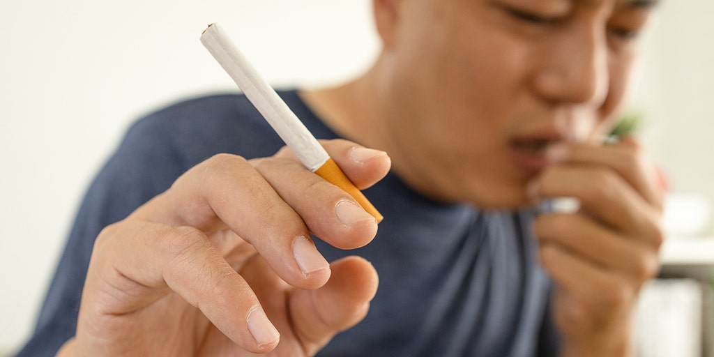step herbal cigarettes where to buy Herbal Cigarettes Tobacco-Free Nicotine-Free step herbal cigarettes where to buy Herbal Cigarettes Tobacco-Free Nicotine-Free