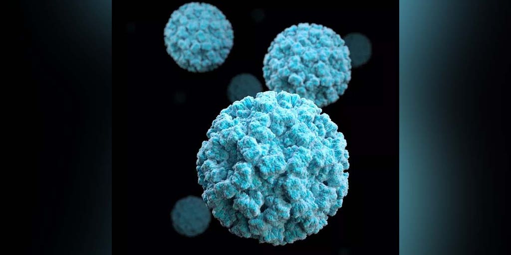 Illinois virus outbreak linked to dollar burrito event for Northwestern University students - Vimarsana News
