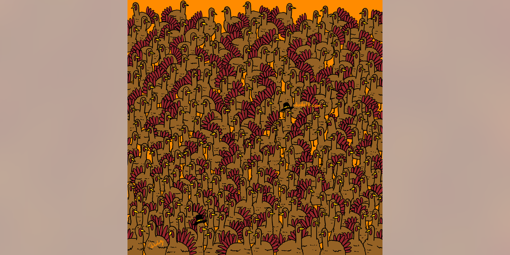Thanksgiving photo hunt: Find 3 roosters hidden in a mass of turkeys - Vimarsana News