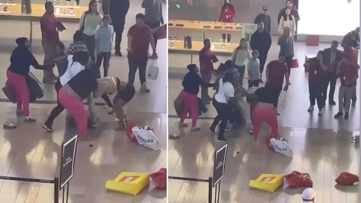 Las vegals mall brawl