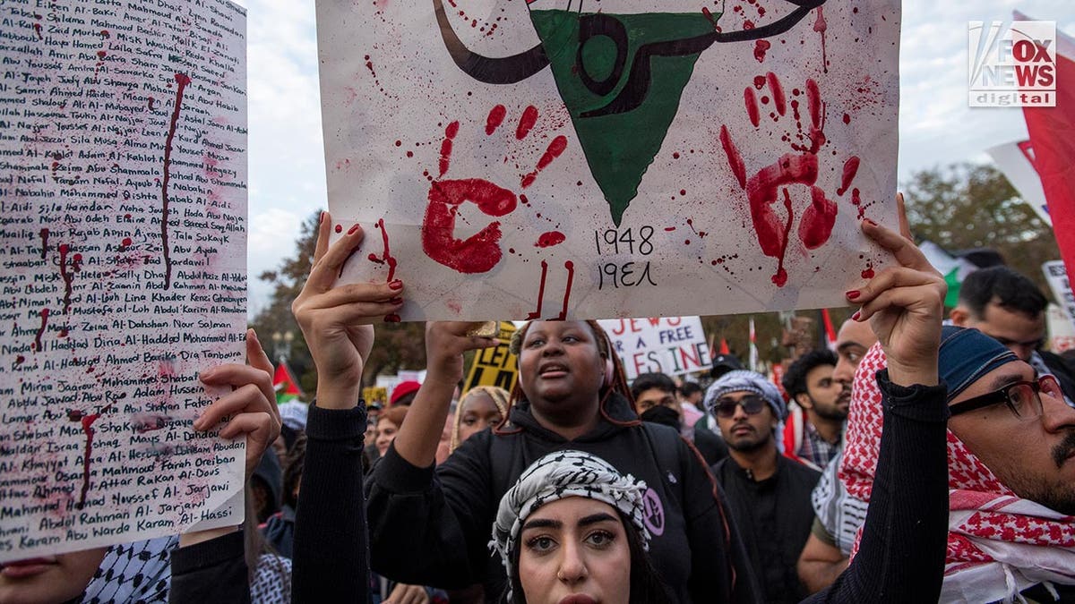 Pro-Palestinian protesters in DC