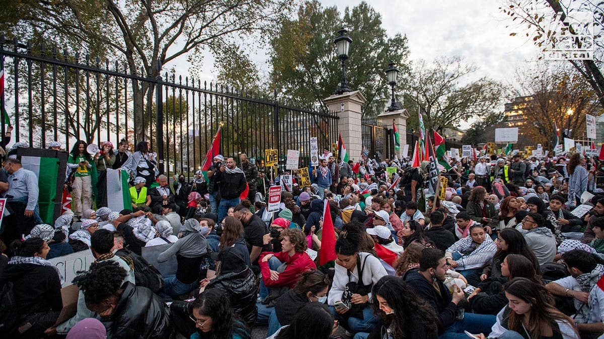 Pro-Palestine protesters