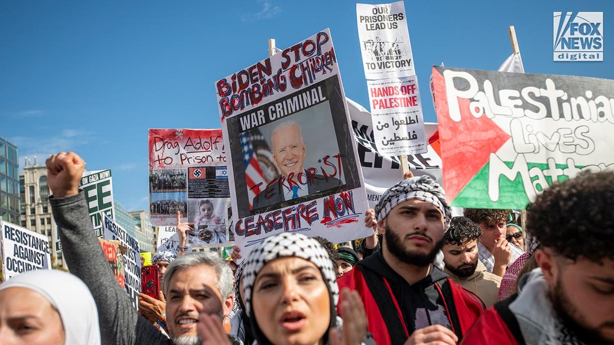 Pro-Palestine protestors in DC