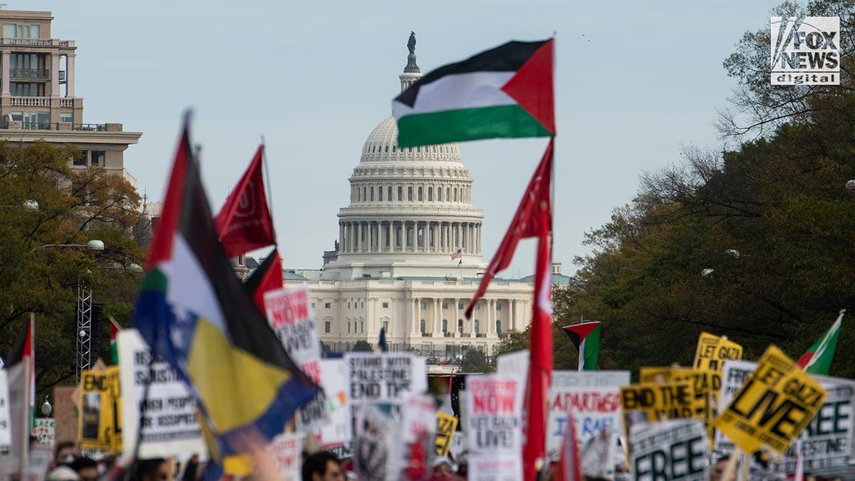 Pro-Palestine protesters in DC, US capitol in background