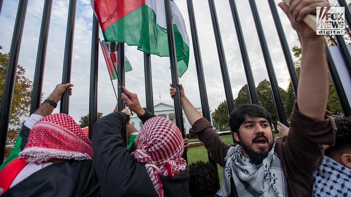 Pro-Palestine protesters at White House gate