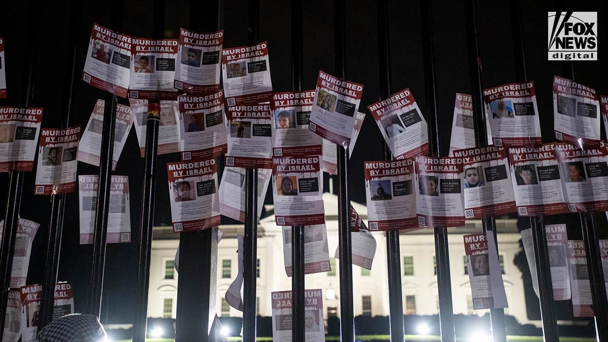 vandalism by pro-Palestinian protestors in DC