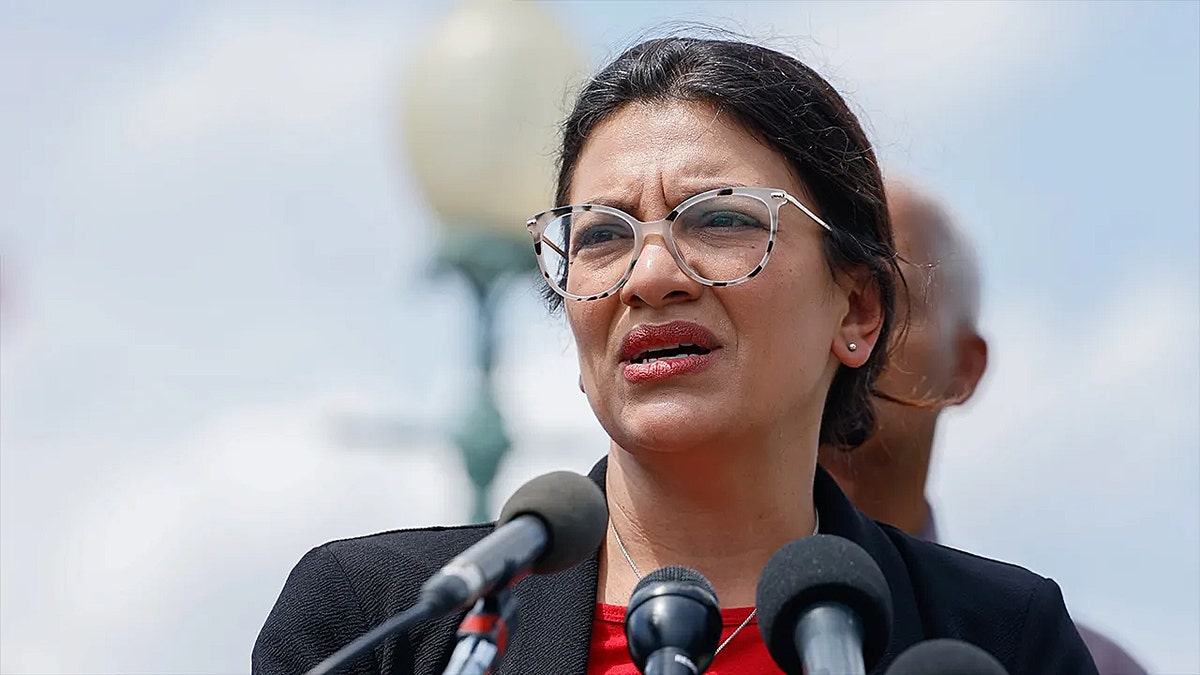 The House voted to not censure progressive Rep. Rashida Tlaib Wednesday. Nearly two dozen Republicans voted along with all House Democrats to table the resolution with a final vote of 222-186.