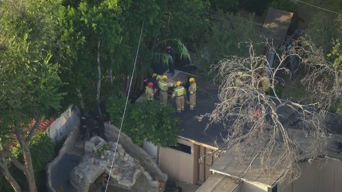 LAPD discover human remains in backyard