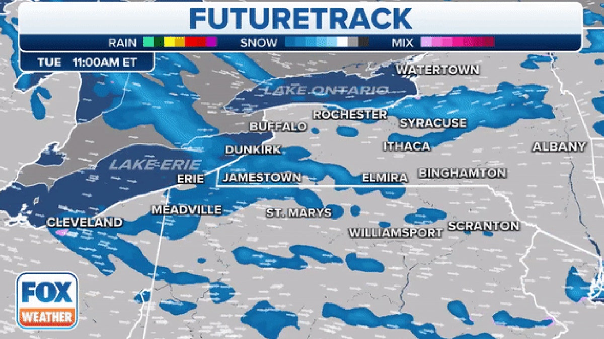 Fox Weather graphic showing snow up north