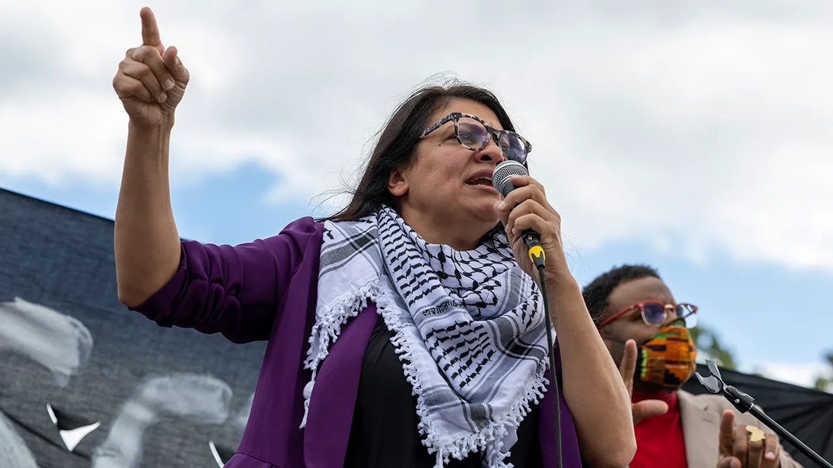 Rep. Rashida Tlaib