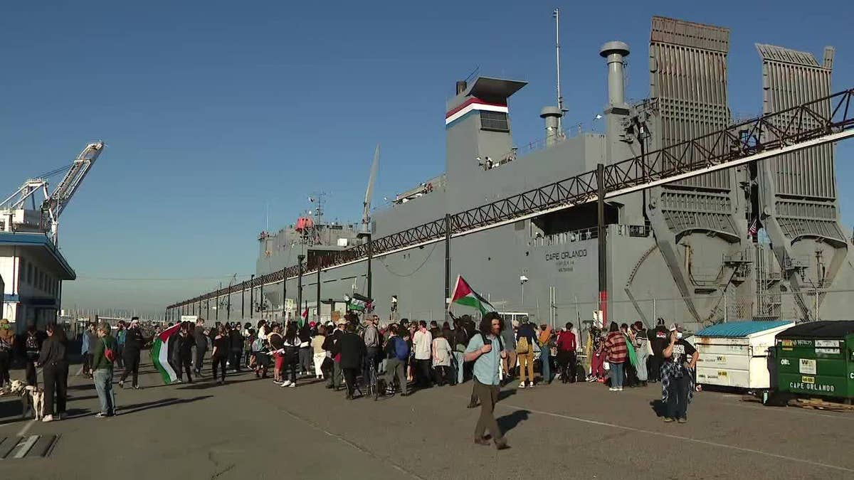 Large group of pro-Palestinian demonstrators