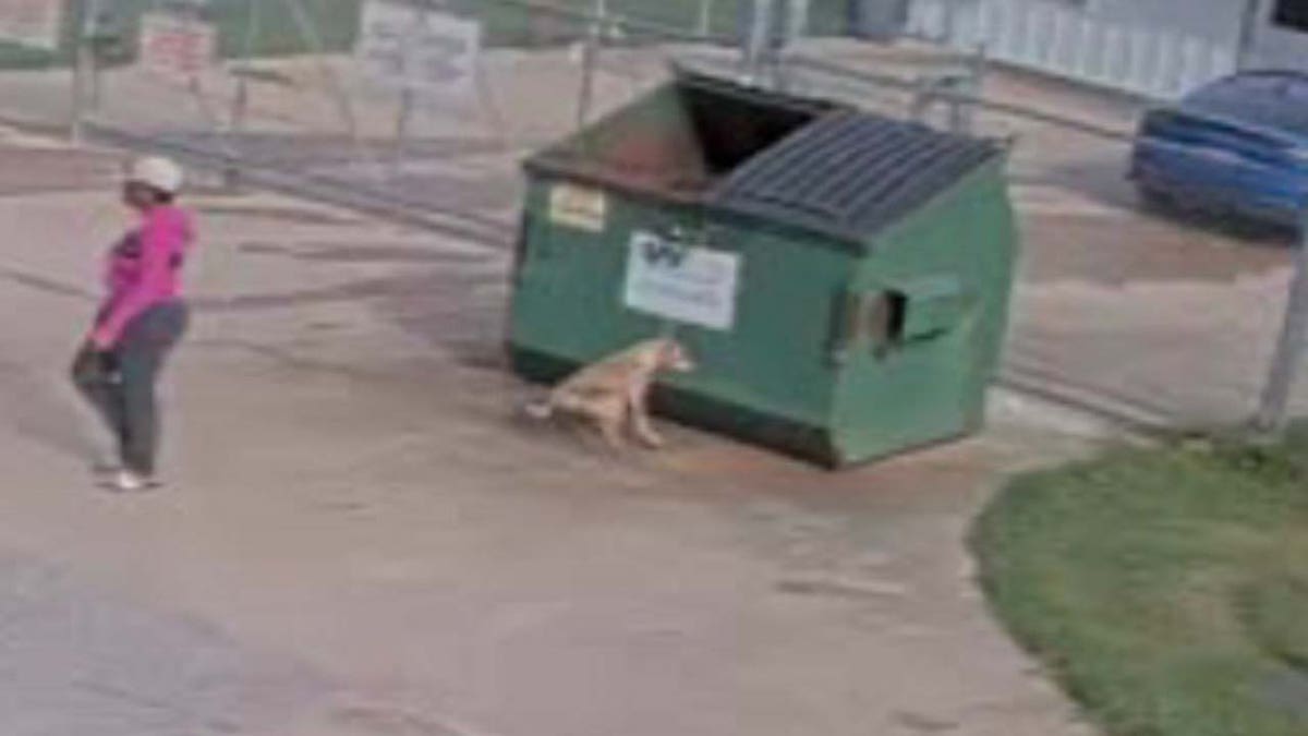 Dog left to die