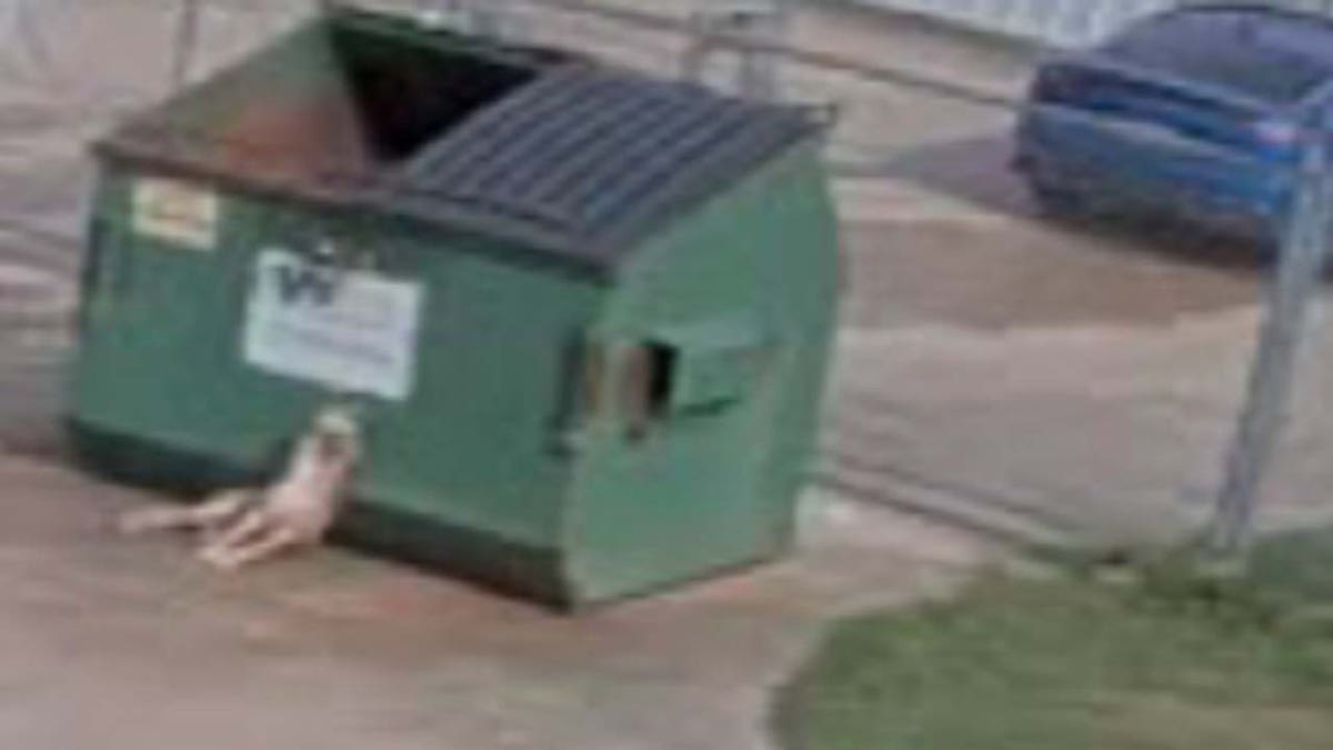 Dog dies tied to dumpster