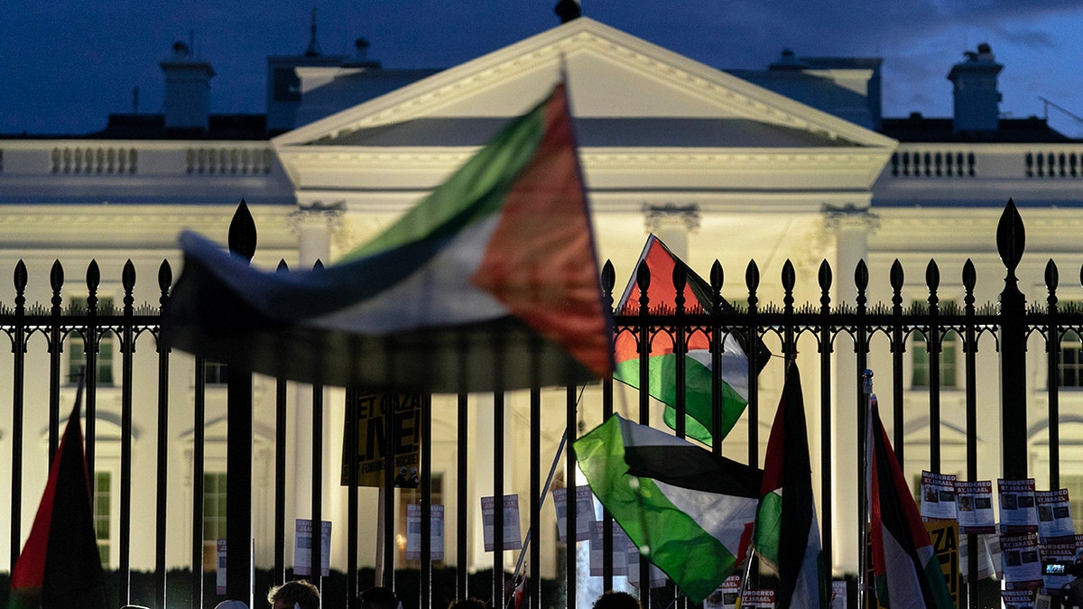 Pro-Palestinian protesters White House