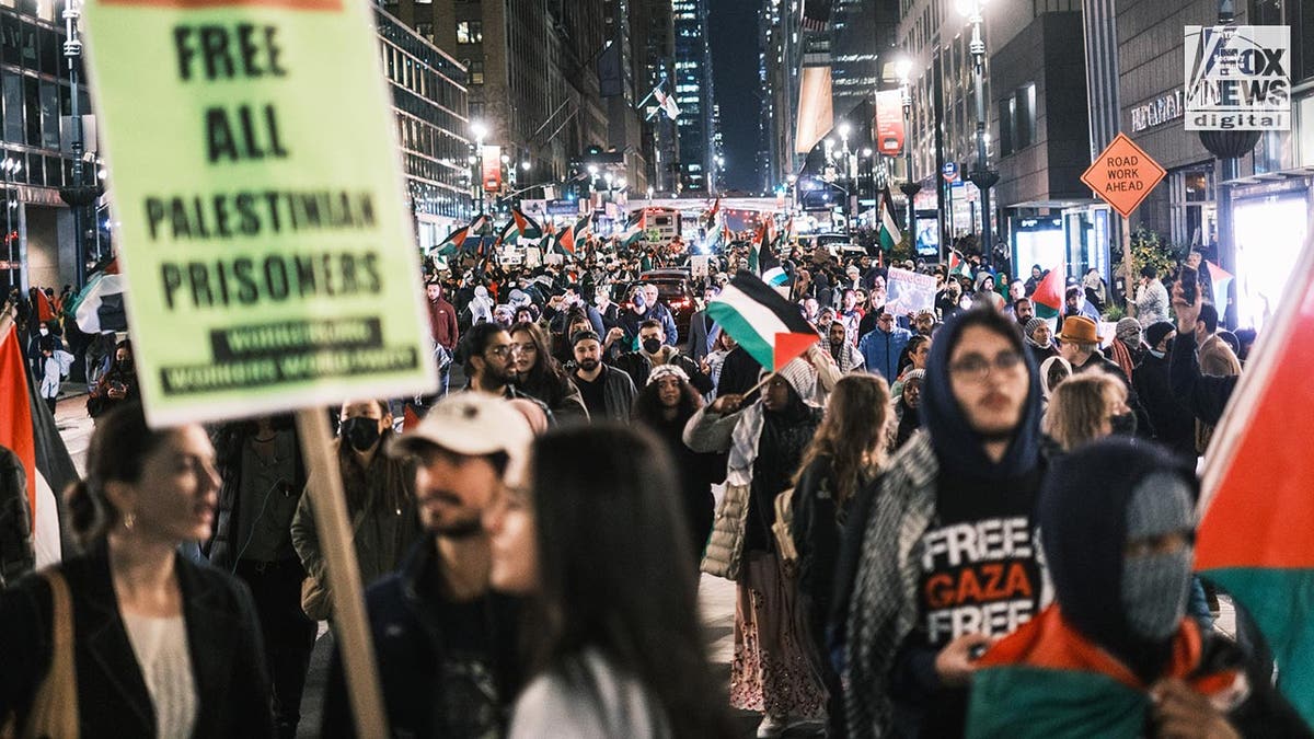 Large crowd of pro-Palestinian protesters