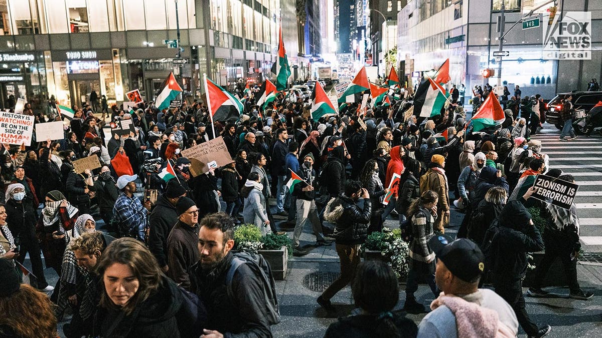 亲巴勒斯坦抗议者在纽约市游行