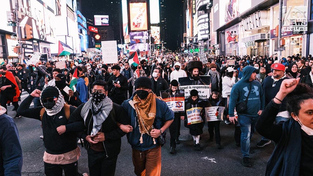 Pro-Palestinian protesters march in New York City