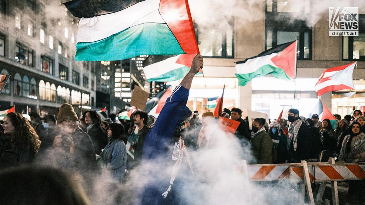 Pro-Palestine protesters march successful  New York City