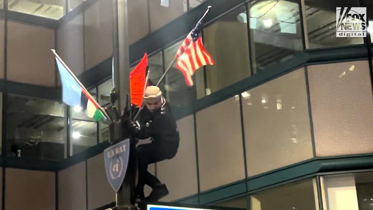 A protester climbs lamppost breaking off U.S. flags
