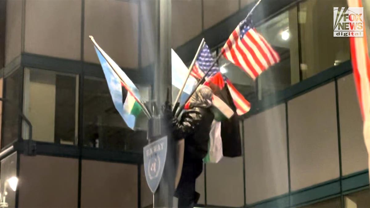 A protester climbs lamppost breaking off U.S. flags