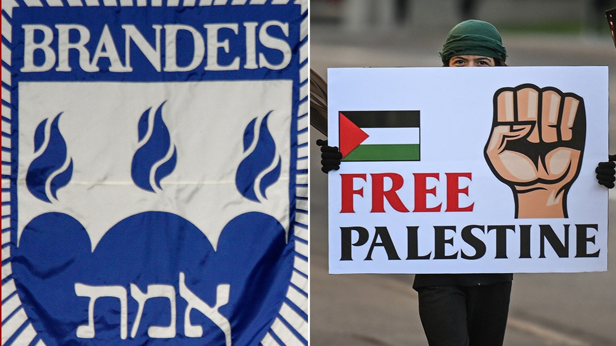 Brandeis University logo and Pro-Palestinian protester