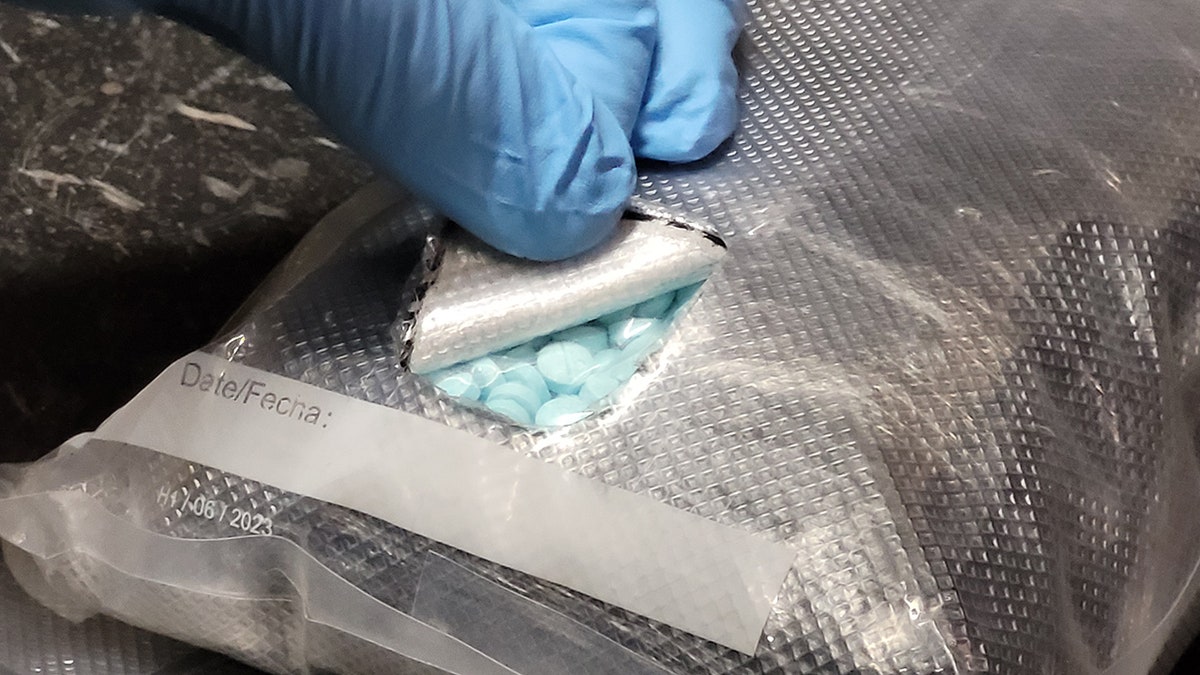 blue fentanyl pills in a bundle