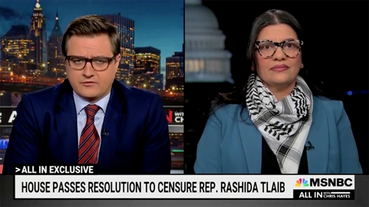 Rep. Tlaib, Chris Hayes