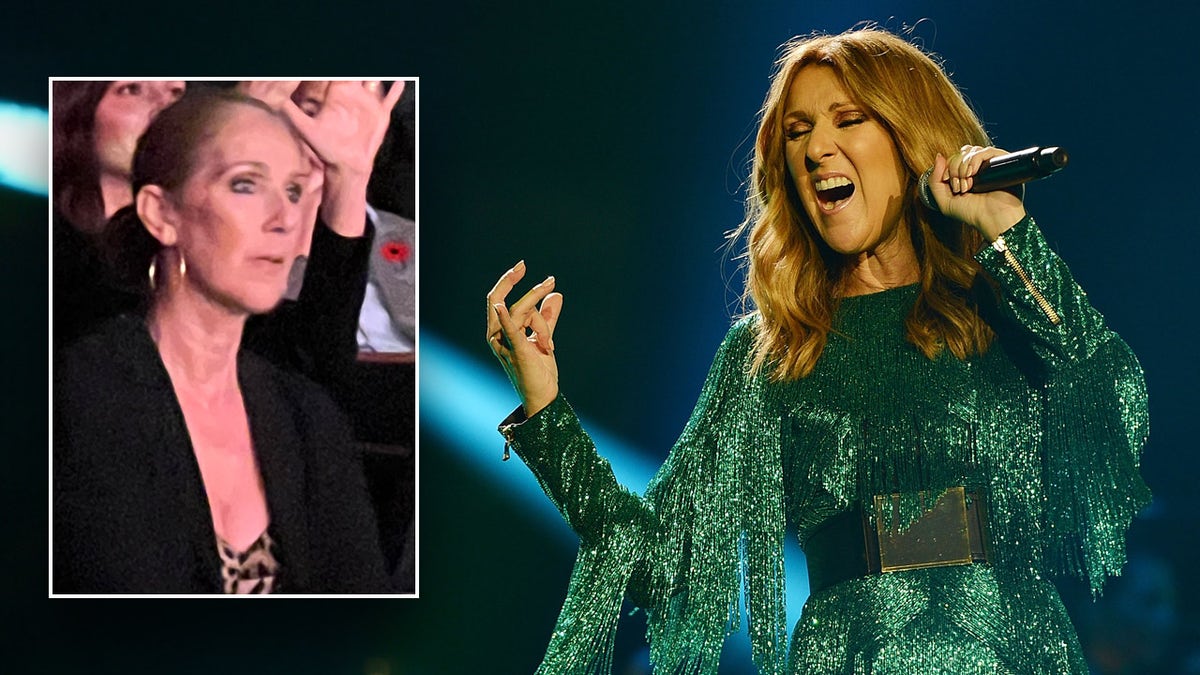 Celine Dion catches Katy Perry perform, signals possible return to her own stage