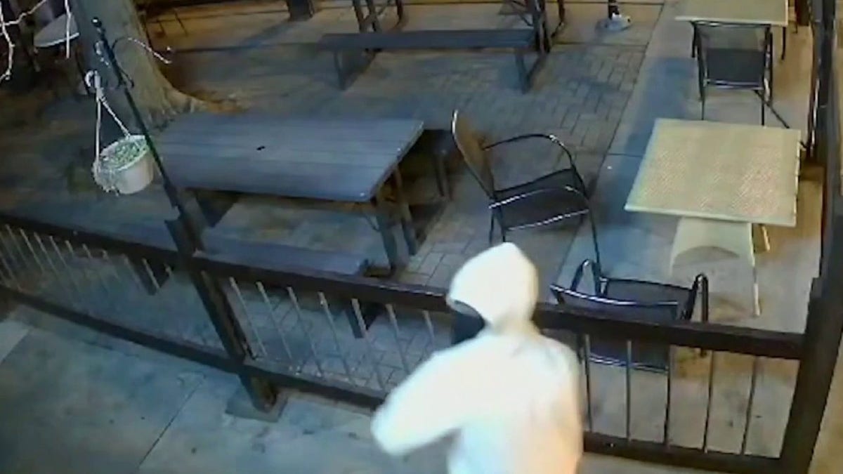 Chicago burglar throws cinder block into business