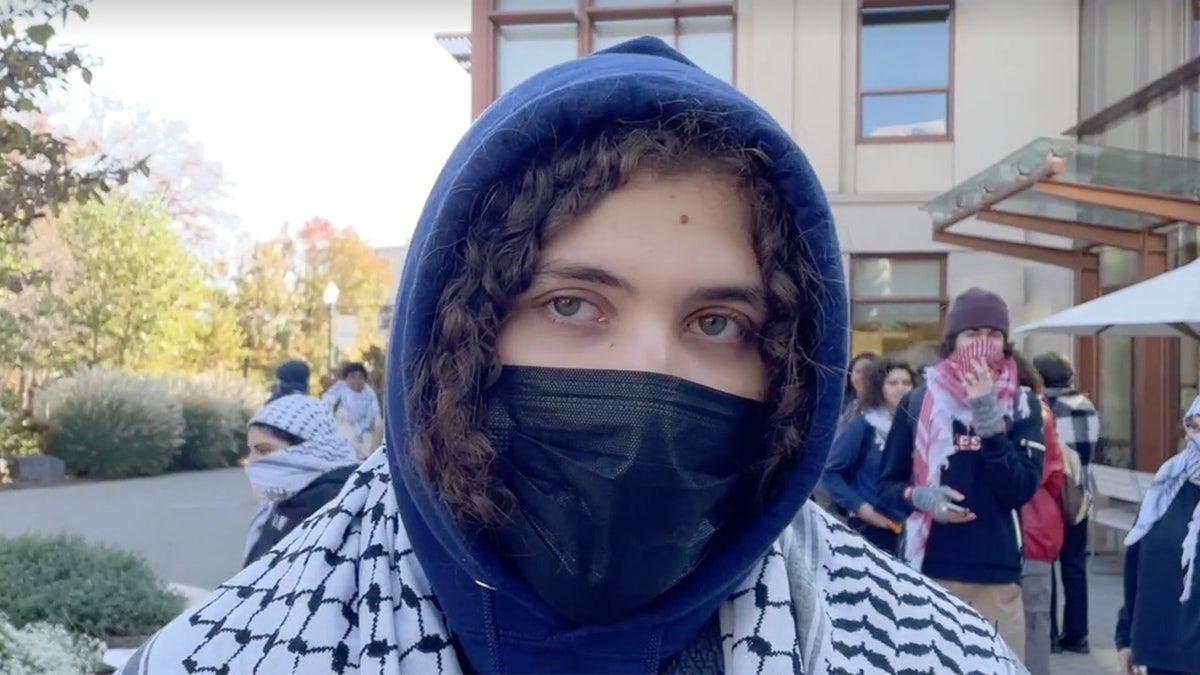 Man wears keffiyeh, hoodie and bllack mask.