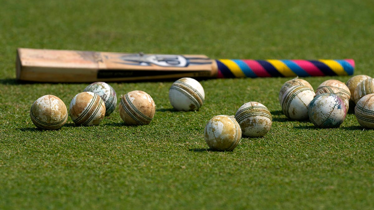 Cricket balls