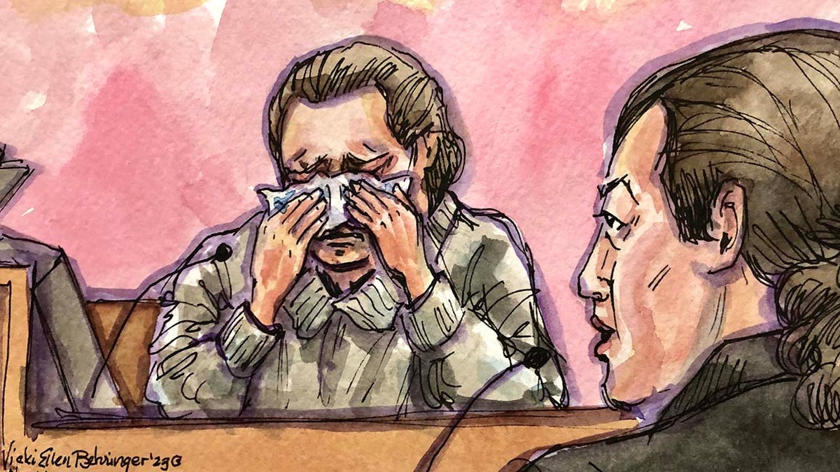 David DePape crying in courtroom sketch