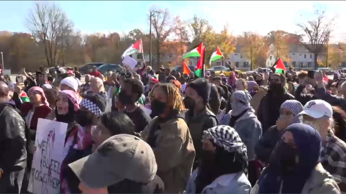 Delaware Palestine March