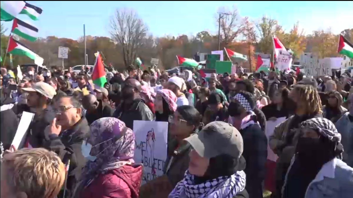Delaware Palestine protest biden