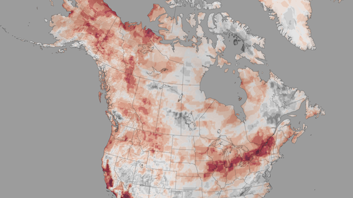 Map over average El Nino winter