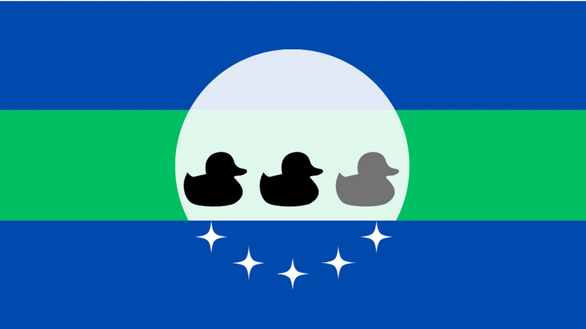 duck duck gray duck flag