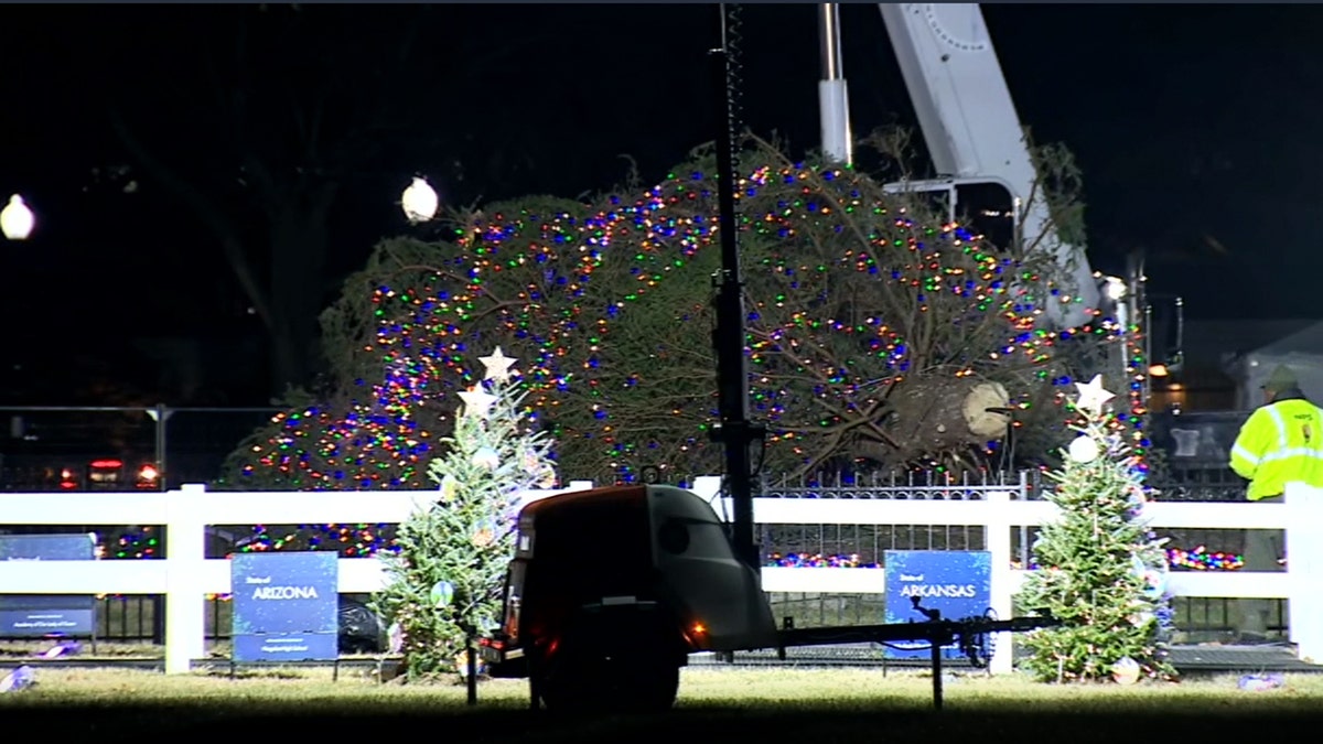 National Christmas tree topples to the ground at White House