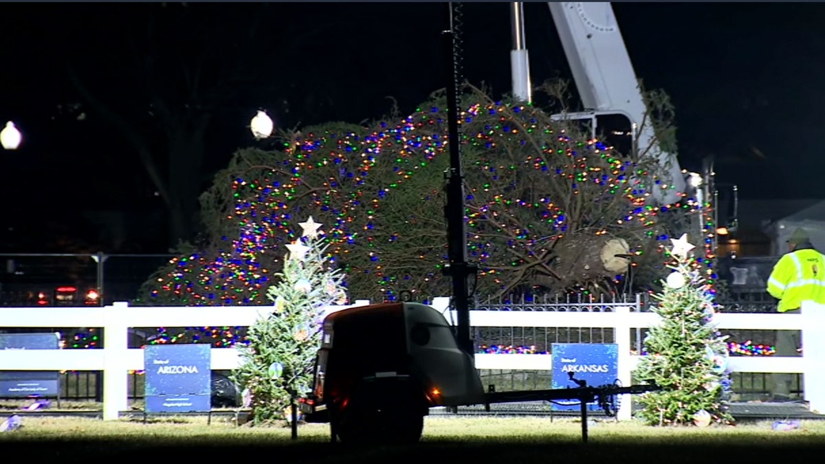 White House Christmas tree