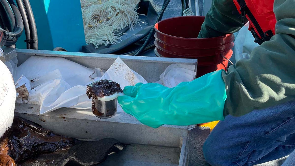 Oil pulled from spill by Coast Guard