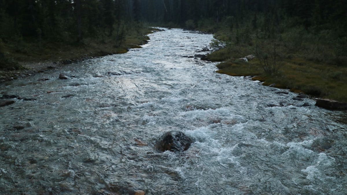 river flowing through the Canadian Rockies